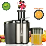 110V Home Use Multi-function Electric Juicer US Plug Black