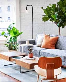 Furniture Full images